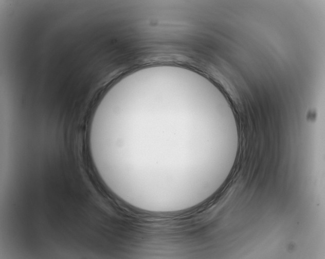 X0000102770356200808181000