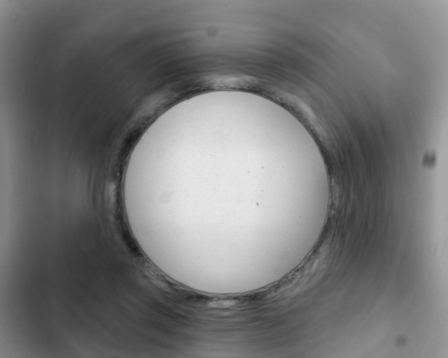 X0000102770357200808181000