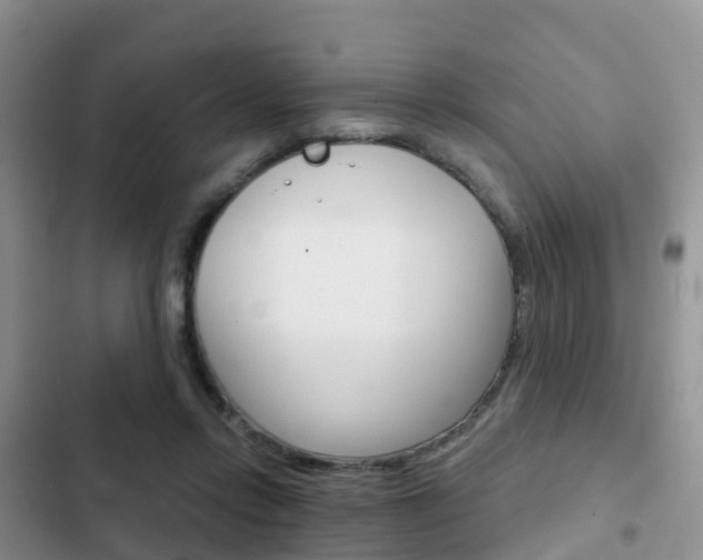X0000102770358200808181000