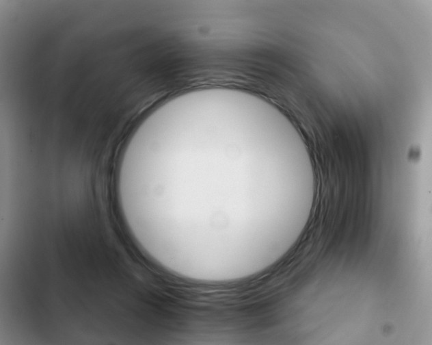 X0000102770360200808181000