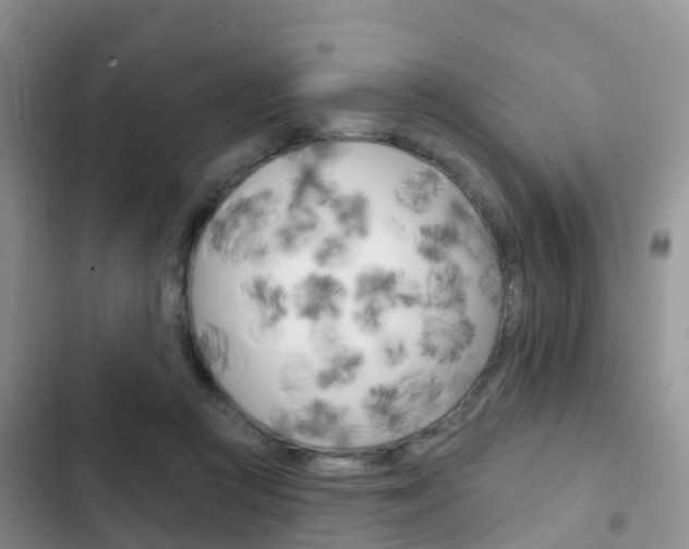 X0000102770361200808181000