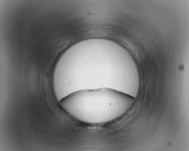 X0000102770362200808181000