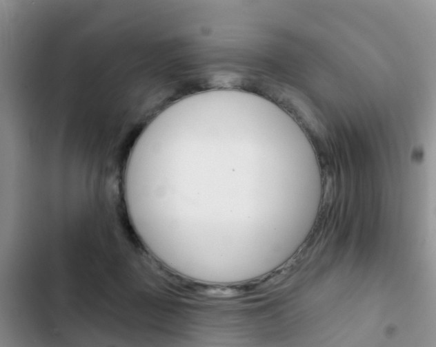 X0000102770363200808181000