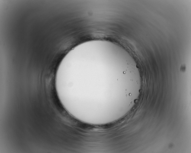 X0000102770364200808181000