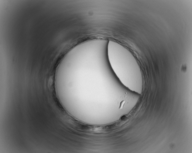 X0000102770365200808181000