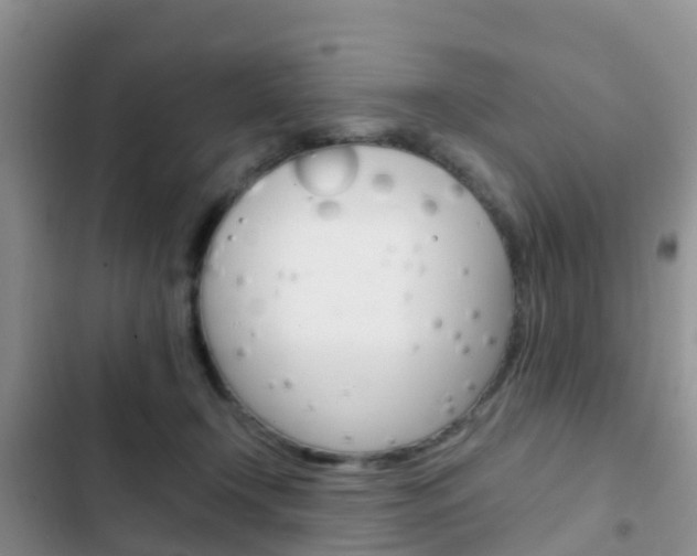 X0000102770366200808181000