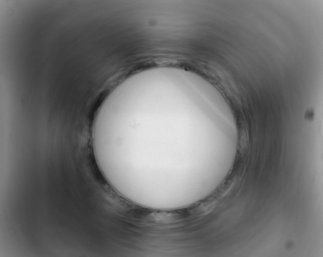 X0000102770367200808181000