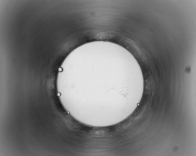 X0000102770368200808181000