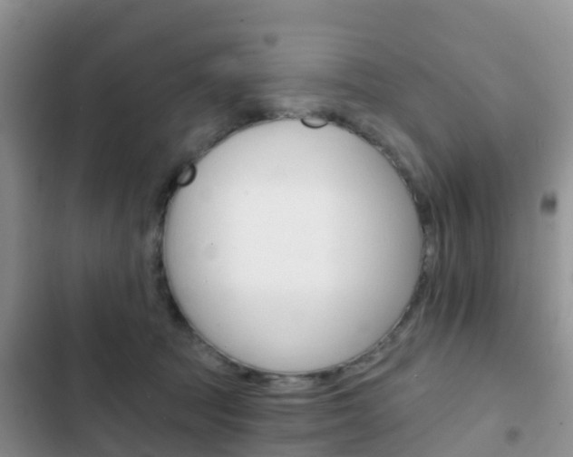 X0000102770369200808181000