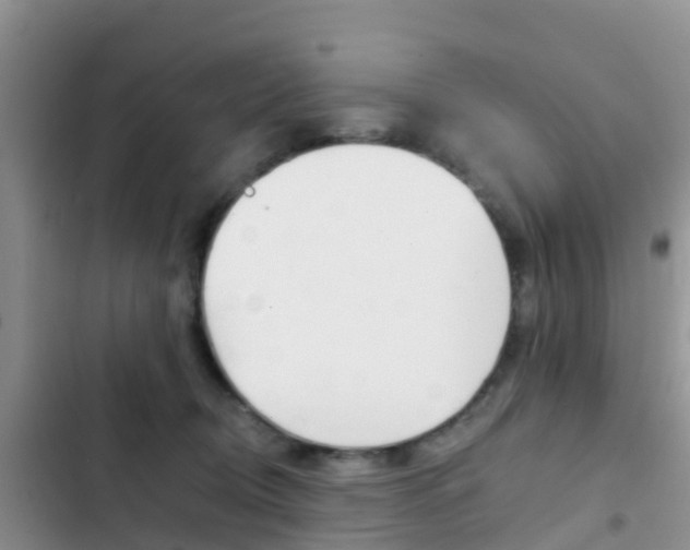 X0000102770370200808181000