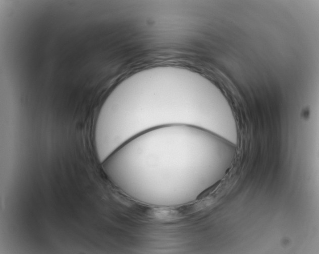 X0000102770372200808181000