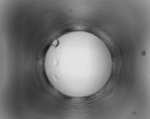 X0000102770373200808181000