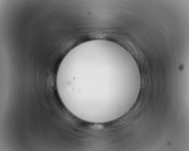 X0000102770374200808181000