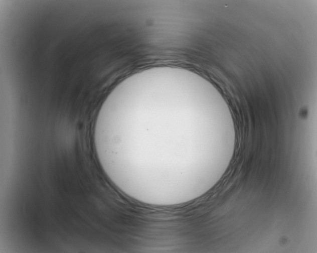 X0000102770376200808181000