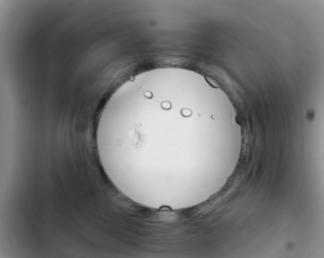 X0000102770377200808181000