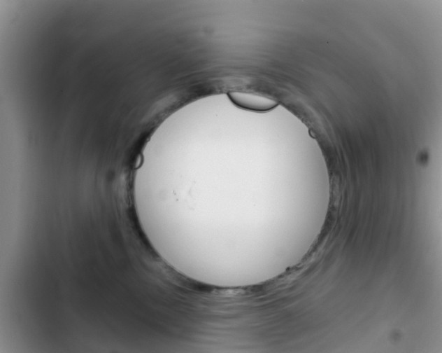 X0000102770378200808181000