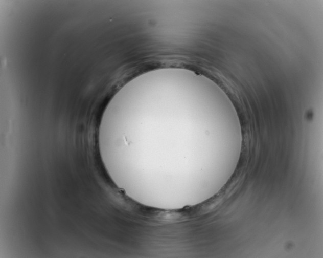 X0000102770379200808181000