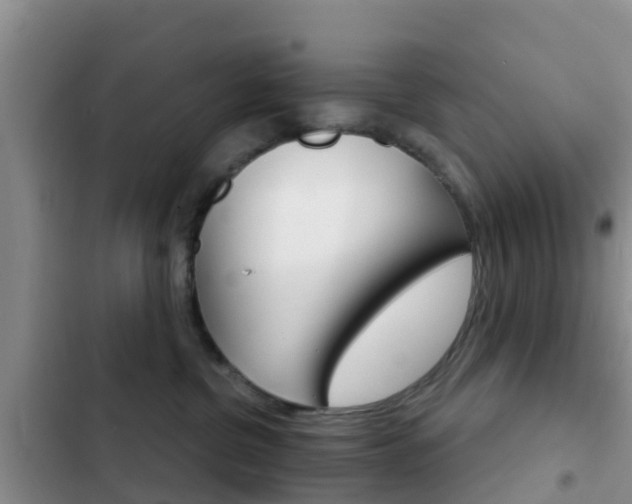 X0000102770380200808181000