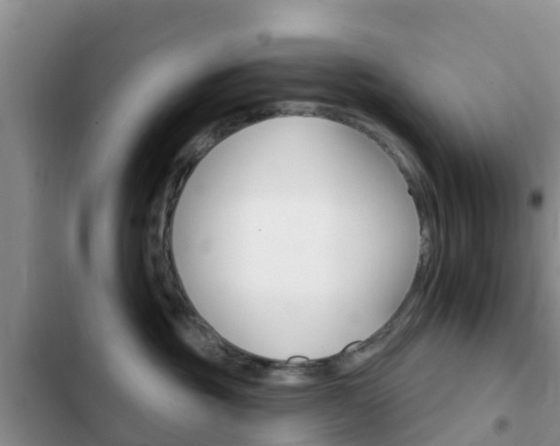 X0000102770381200808181000
