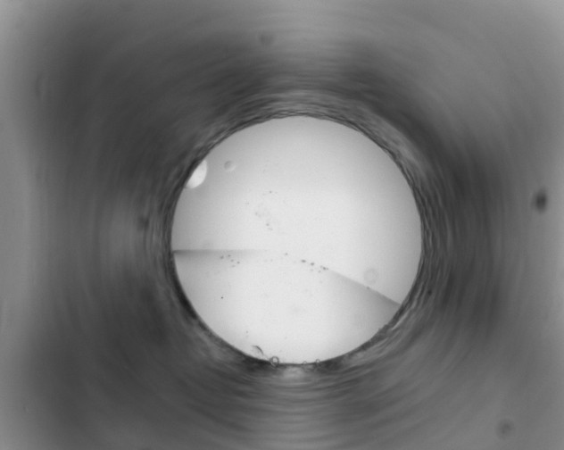 X0000102770382200808181000