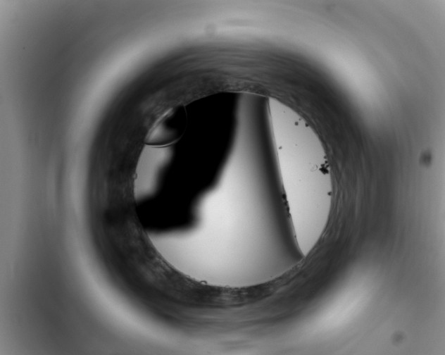 X0000102770383200808181000