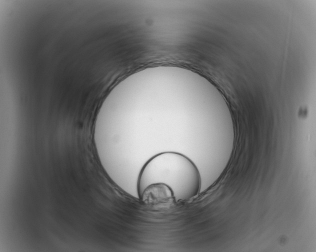 X0000102770384200808181000