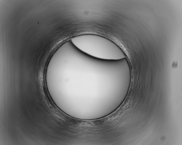 X0000102770386200808181000