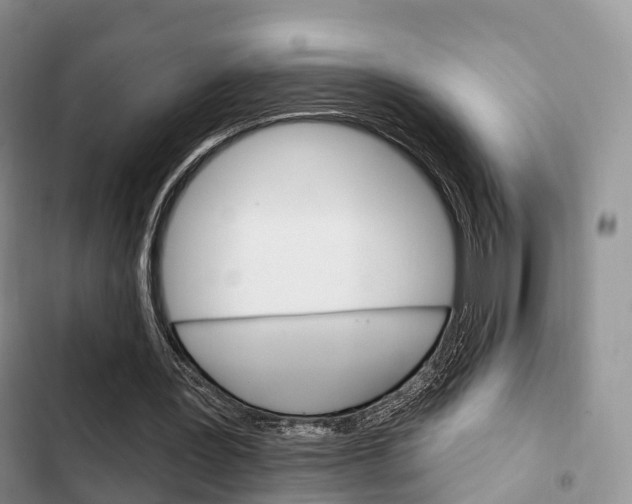 X0000102770387200808181000