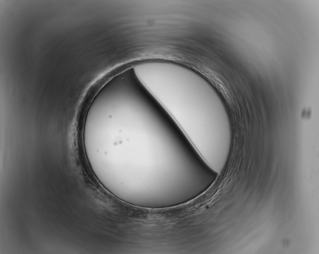 X0000102770388200808181000