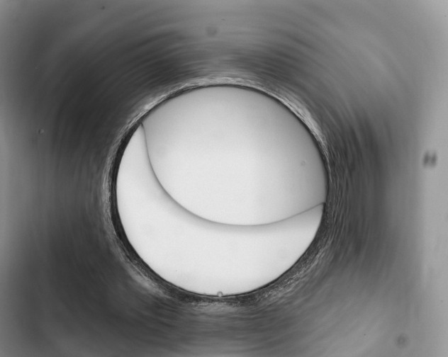 X0000102770389200808181000
