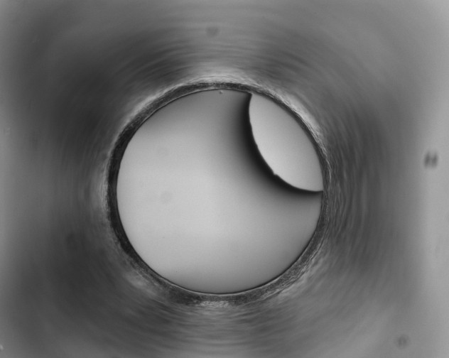 X0000102770391200808181000