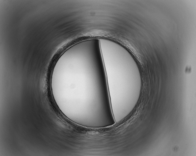 X0000102770392200808181000