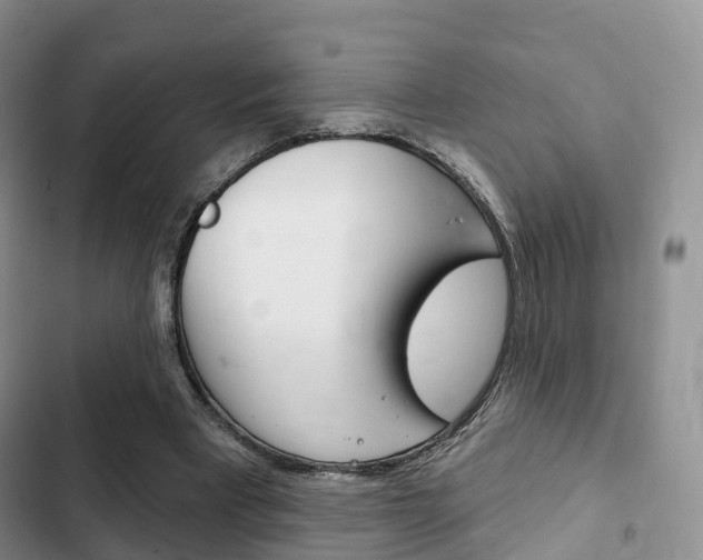 X0000102770393200808181000