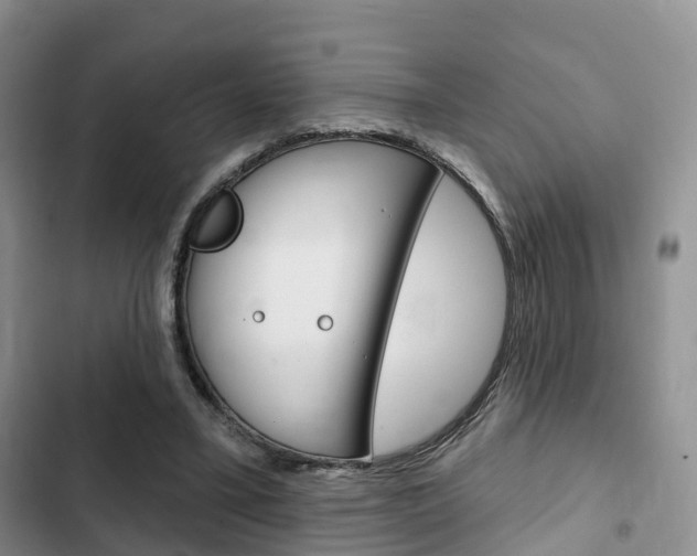 X0000102770395200808181000