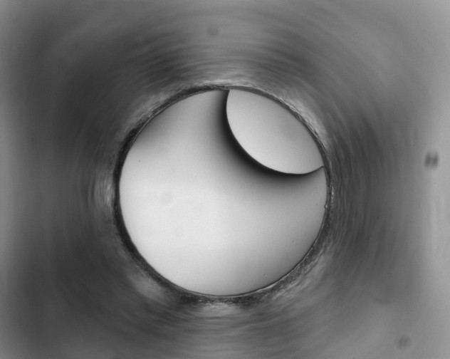 X0000102770397200808181000