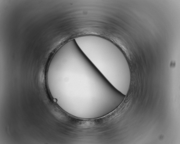 X0000102770398200808181000