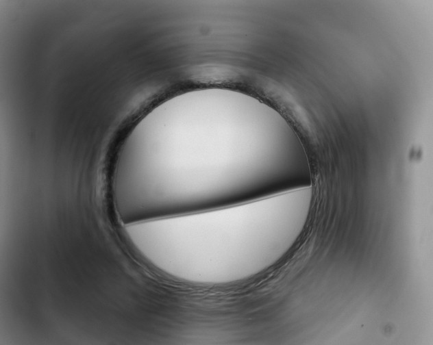 X0000102770400200808180959