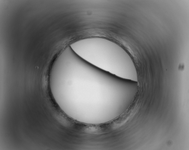 X0000102770402200808180959