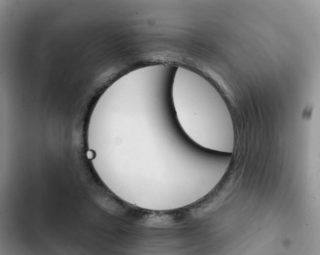 X0000102770403200808180959