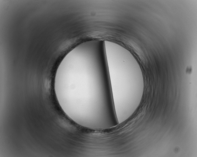 X0000102770404200808180959