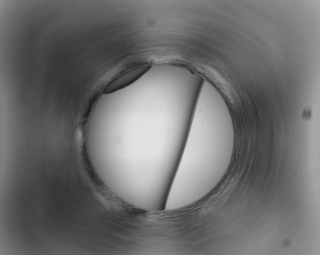 X0000102770405200808180959