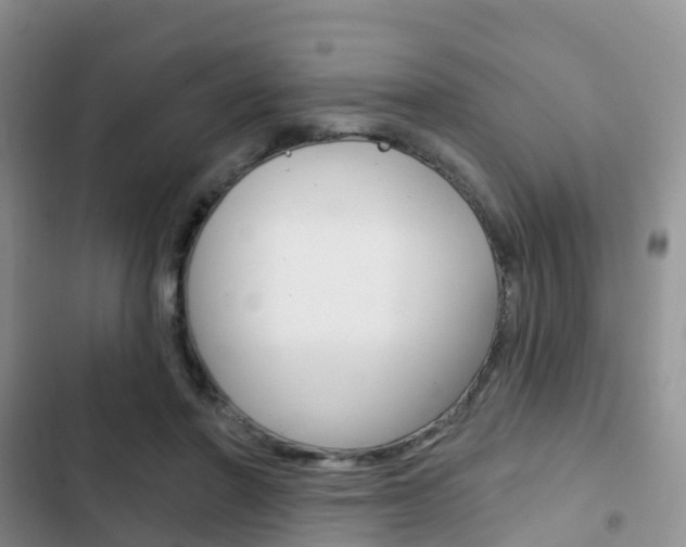 X0000102770406200808180959