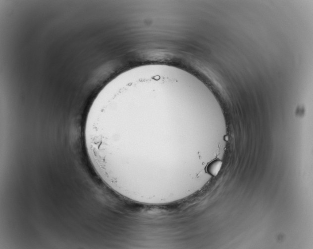 X0000102770407200808180959