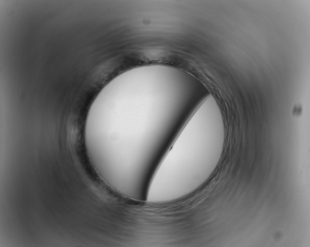 X0000102770408200808180959