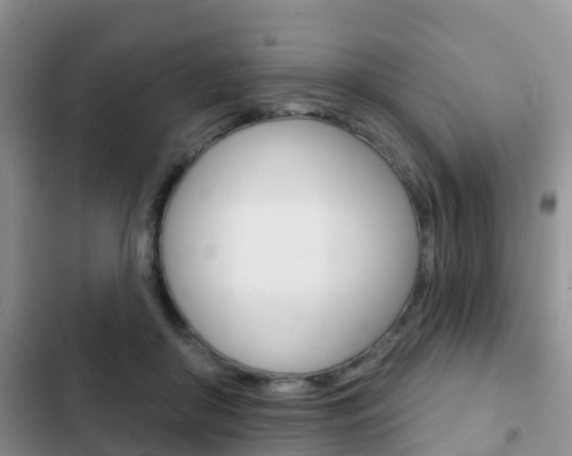 X0000102770410200808180959