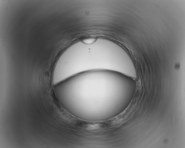 X0000102770411200808180959