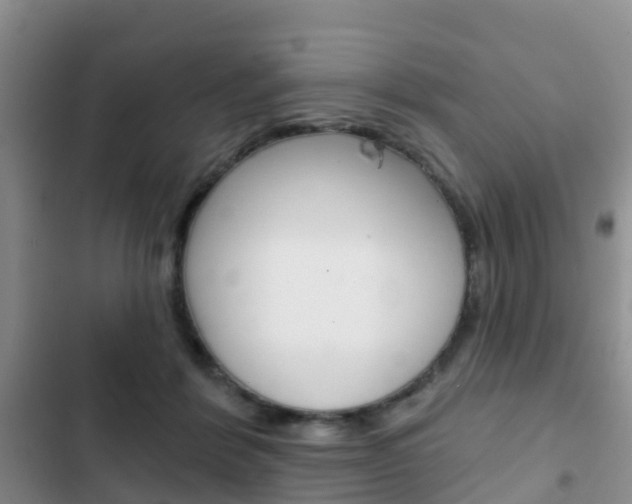 X0000102770412200808180959