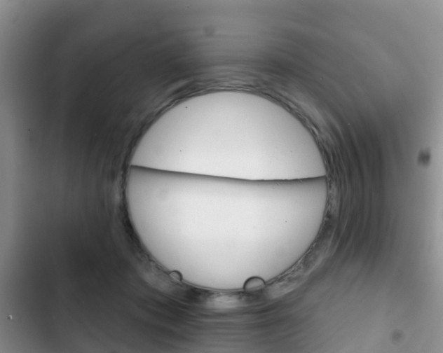 X0000102770413200808180959