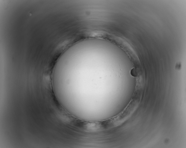 X0000102770415200808180959