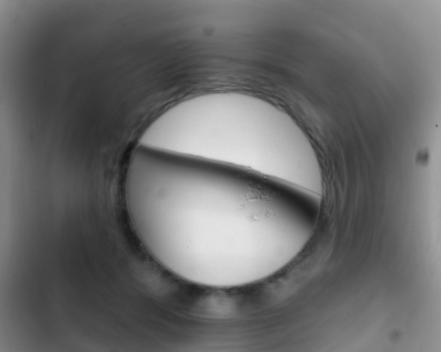 X0000102770416200808180959
